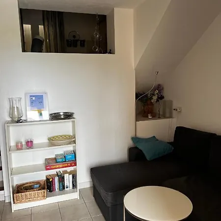 Petite Maison Cote D'azur * Cogolin